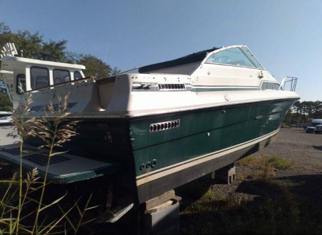 Sea Ray Other for Sale