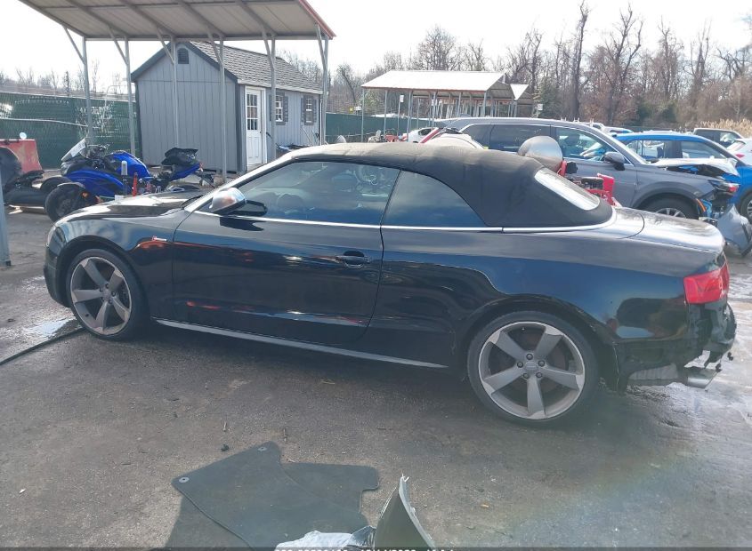 2015 AUDI S5 for Sale