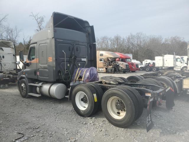 Freightliner Cascadia 113 for Sale