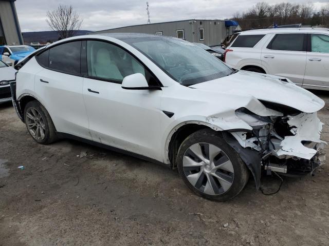 2021 TESLA MODEL Y for Sale