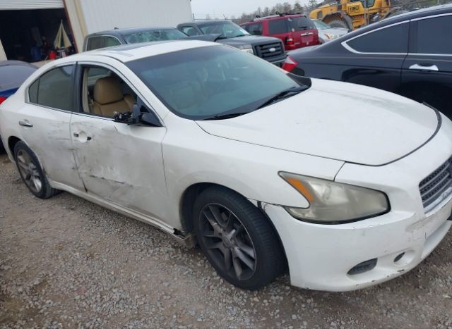 2010 NISSAN MAXIMA for Sale