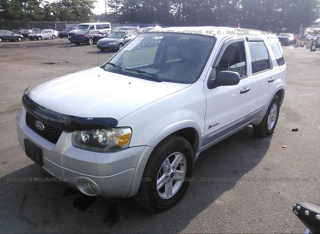 Car Auctions Ny >> Used Car Ford Escape 2006 White For Sale In Medford Ny Car Auctions Ny >> Used Car Ford Escape 2006 White For Sale In Medford Ny