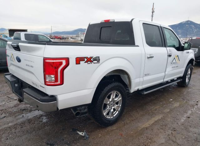 2015 FORD F150 for Sale