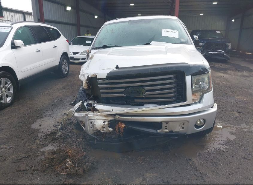 2011 FORD F-150 for Sale