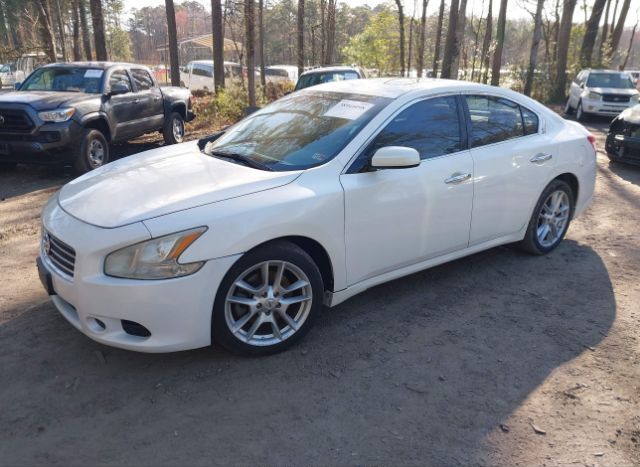 2011 NISSAN MAXIMA for Sale
