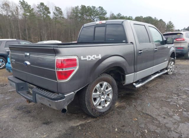 2014 FORD F150 for Sale