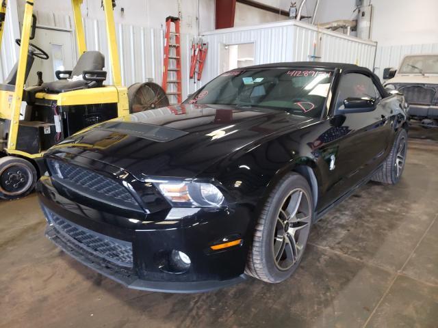 2010 FORD MUSTANG SHELBY GT500 for Sale