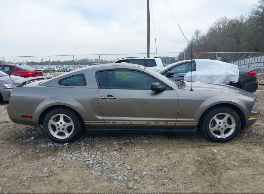 2005 FORD MUSTANG for Sale