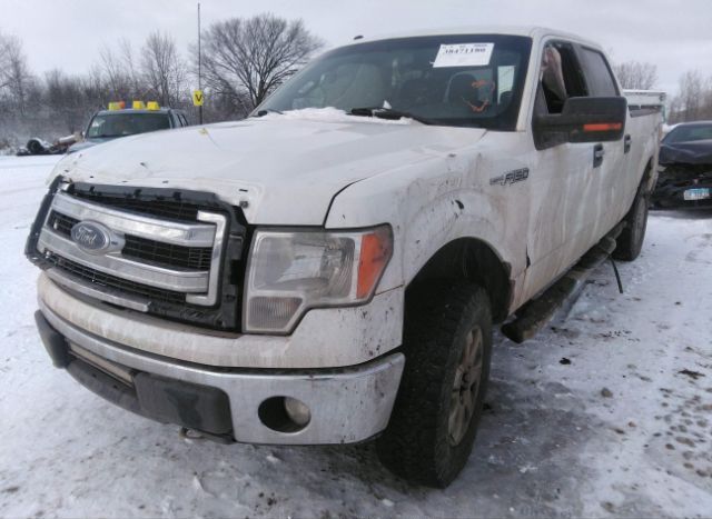 2014 FORD F-150 for Sale