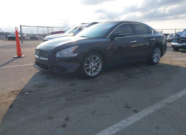 2010 NISSAN MAXIMA for Sale