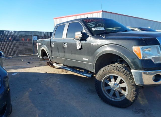 2013 FORD F-150 for Sale