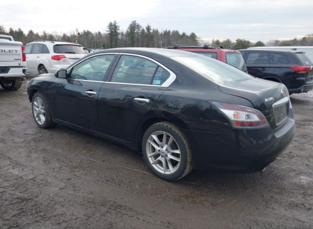 2014 NISSAN MAXIMA for Sale