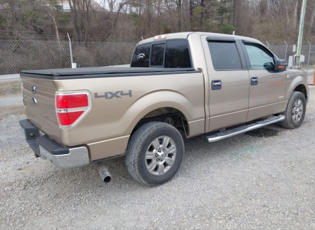 2011 FORD F-150 for Sale