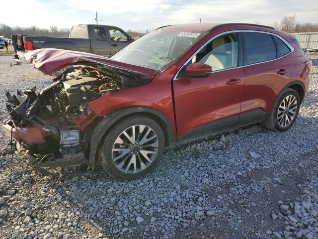 Ford Escape Hybrid for Sale