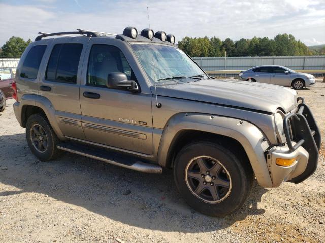 2002 JEEP LIBERTY RENEGADE for Sale