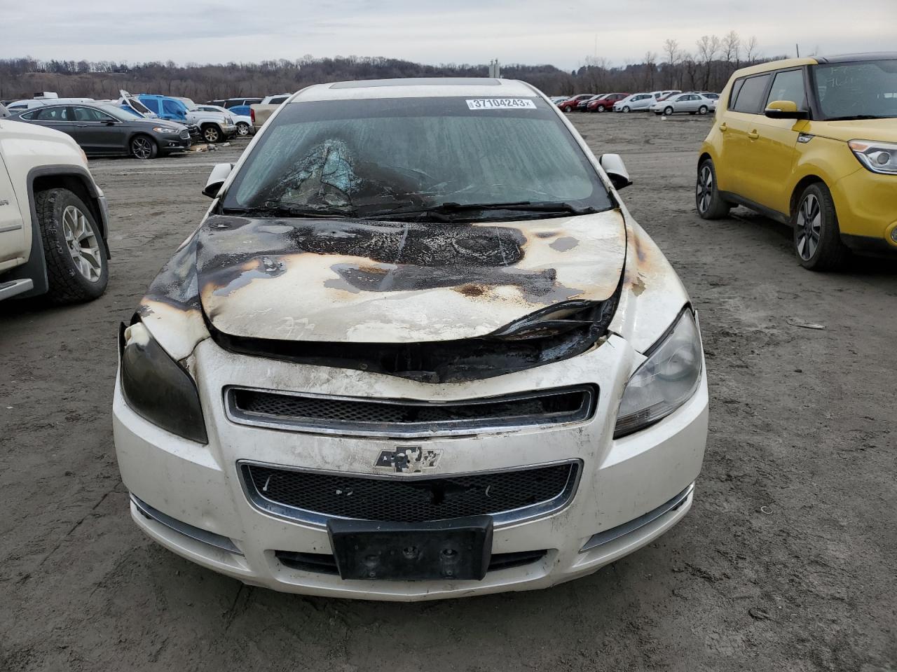 Chevrolet Malibu for Sale