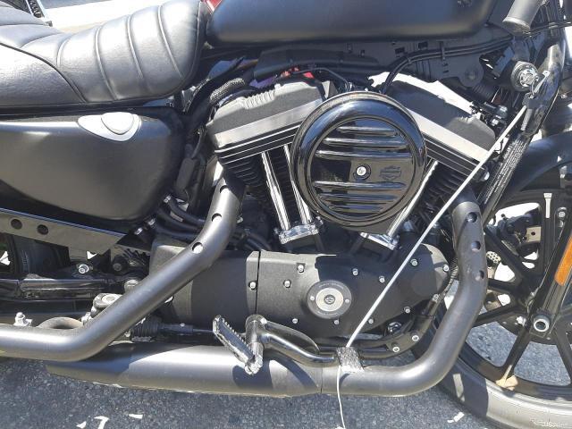 Harley-Davidson Xl883 for Sale
