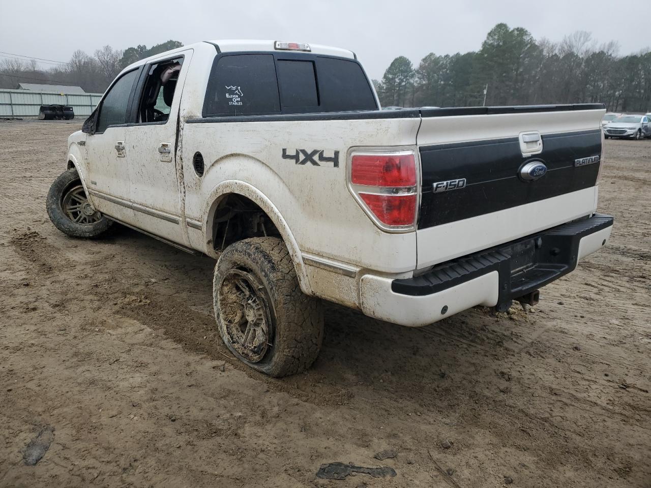 2013 FORD F150 for Sale