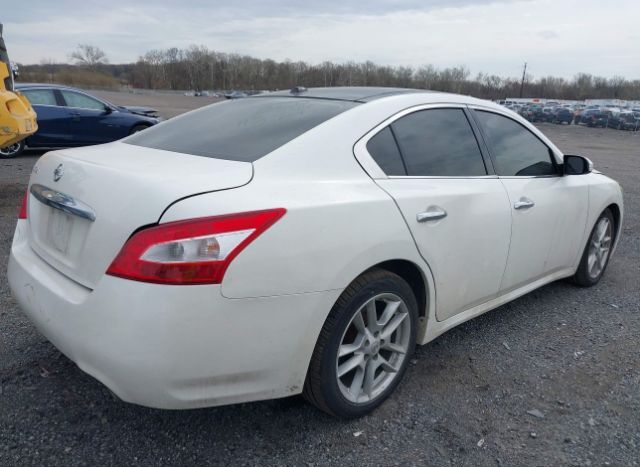 2009 NISSAN MAXIMA for Sale