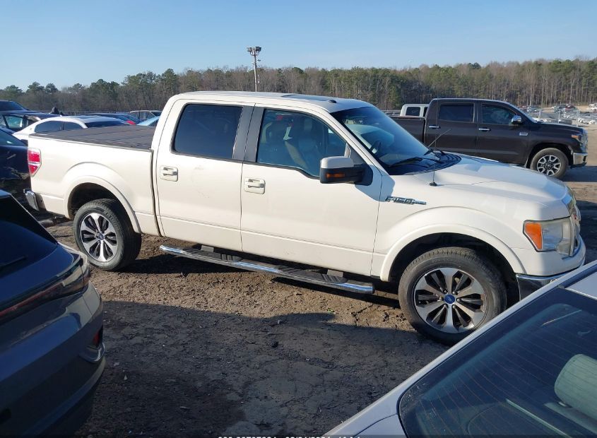 2009 FORD F-150 for Sale