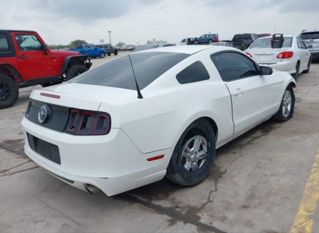 2013 FORD MUSTANG for Sale