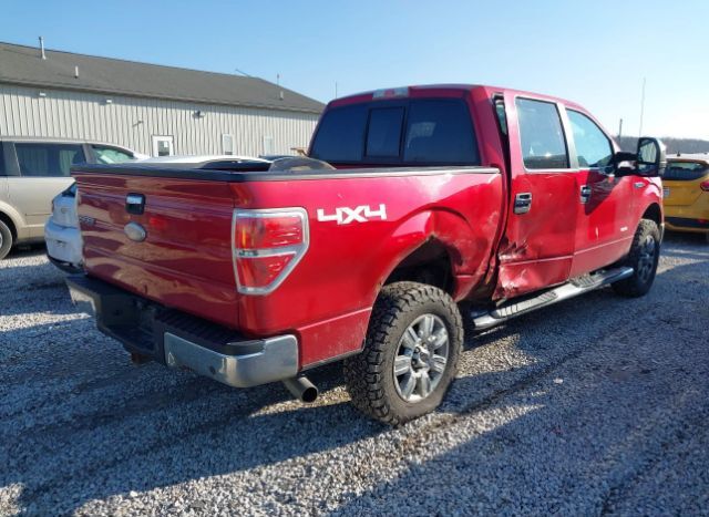 2012 FORD F-150 for Sale