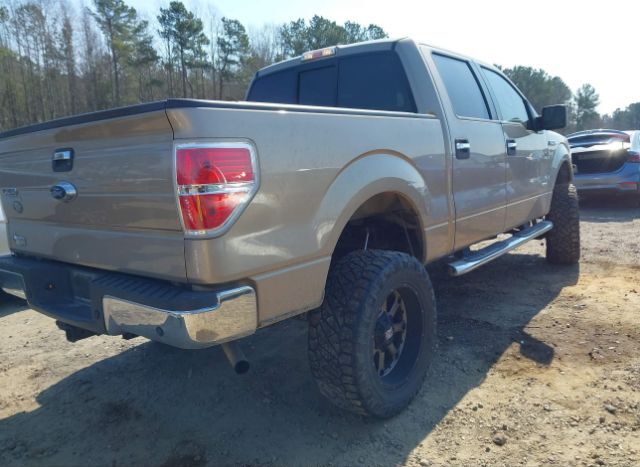 2013 FORD F-150 for Sale