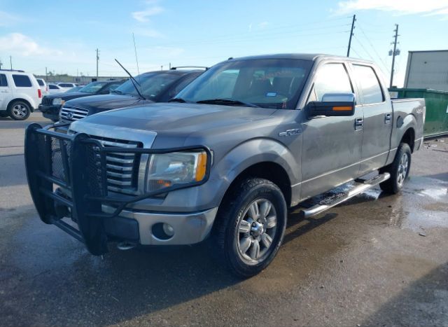 2010 FORD F-150 for Sale