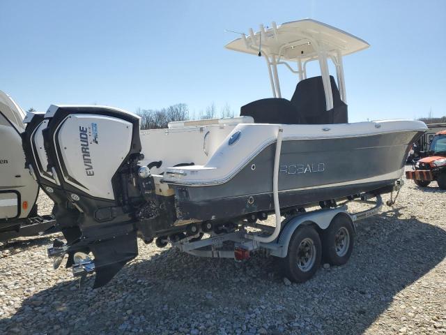 2018 ROBA BOAT for Sale
