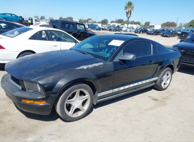 2008 FORD MUSTANG for Sale