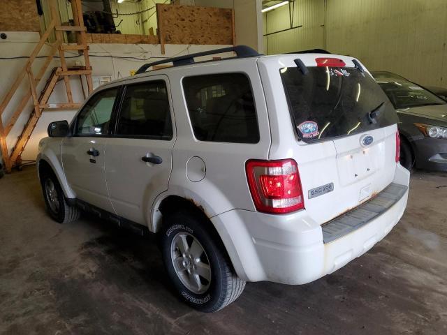 2010 FORD ESCAPE XLT for Sale