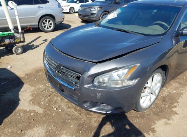 2009 NISSAN MAXIMA for Sale