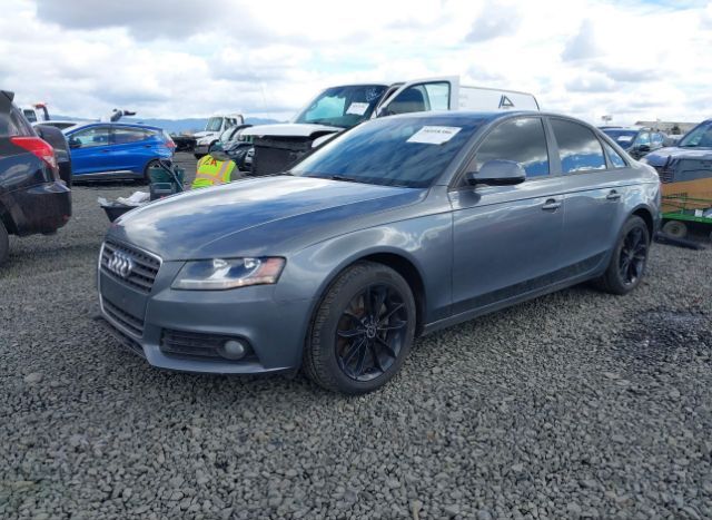 2012 AUDI A4 for Sale