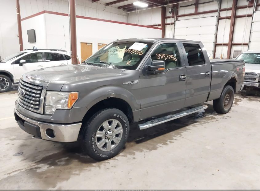 2010 FORD F150 for Sale