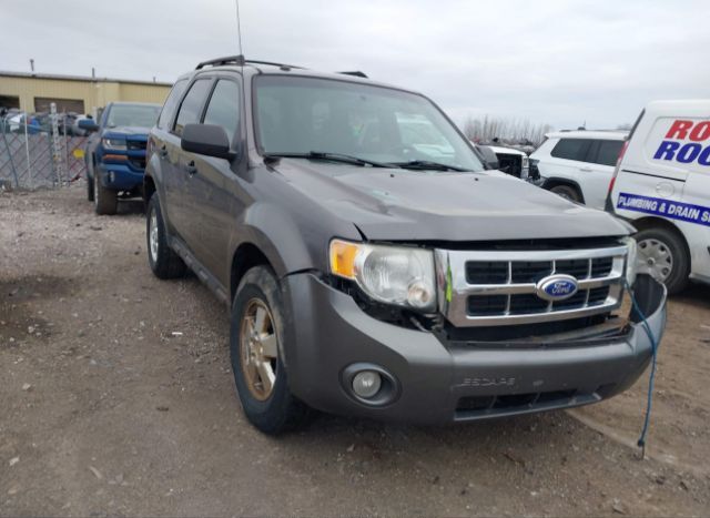 Ford Escape for Sale